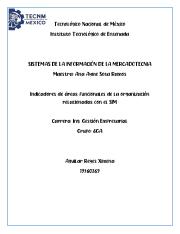 INDICADORES DE DIVERSAS AREAS FUNCIONALES DE LA ORGANIZACIÓN.pdf