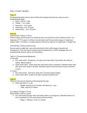 Copy of Exam 4.pdf