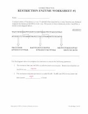 Restriction_enzymes_worksheet.pdf - GUIDED PRACTICE RESTRICTION ENZYME