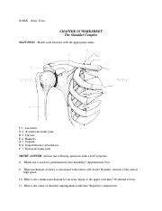 Shoulder Worksheet (1).docx