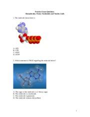 Nucleotides and Nucleic Acids MCQ Winter 2015 3