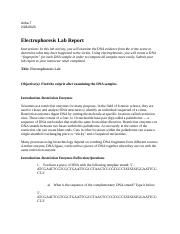 6.01 RNA and DNA LAB.docx