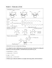 Biomolecule POGIL-Part 1.pdf