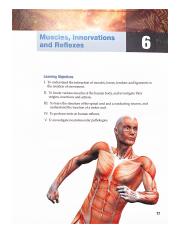 Kami Export - Lab_6_Muscles_Innervations_and_Reflexes.pdf