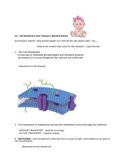 CELL MEMBRANE AND TRANSPORT NOTES.docx