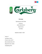 Carlsberg Case.docx