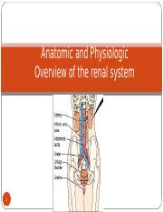 13-_Anatomic_and_Physiologic_Overview_of_the_renal_system.ppt