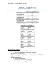 Week 12 Lab Worksheet Fall 2022 N336-1.docx