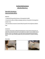 The Bread Mold Experiments.docx