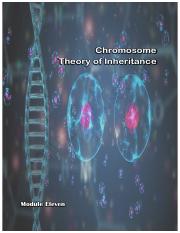 11 - Chromosome Theory of Inheritance.pdf