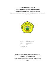 Laporan2-Morfologi Batang.pdf