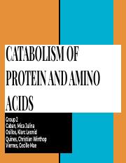 Catabolism of Proteins and Amino Acids.pdf