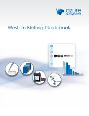 Azure-Western-Blotting-Guidebook.pdf