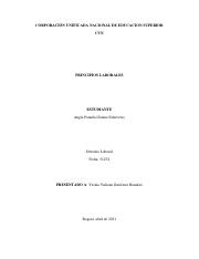 PRINCIPIOS LABORALES.pdf