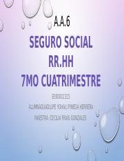 A.A.6. RR.HH.PRECENTACION ELECTRONICA SEGURO SOCIAL.pptx