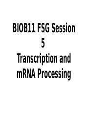 BIOB11 FSG Session 5 (Transcription and mRNA Processing).pptx