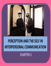 perception and interpersonal communication