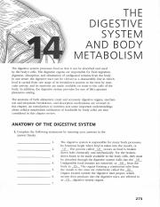 A&P Coloring Workbook- The Digestive System and Body Metabolism