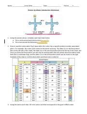 Snow_White_-_Protein_Synthesis_Introduction_Worksheet-Mundy