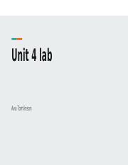 Unit 4 lab.pptx