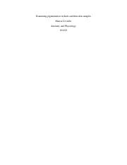 MC 4-6 Lab Report (1).pdf