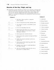 Tiffani_Nguyen_-_Muscles_Workbook_Legs_Arms_and_General_Body_Review.pdf