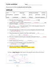 Class Assignment Week 3_Nutrient Cycles Worksheet.docx