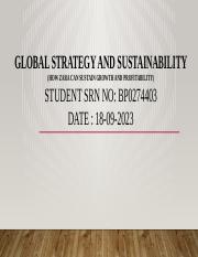 Global strategy and sustainability.pptx