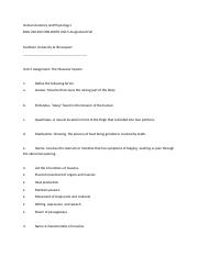 Human Anatomy and Physiology- assignment 5.docx