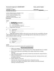 Homework Assignment C ANSWER SHEET (1).docx