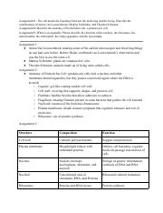 Assignment.pdf