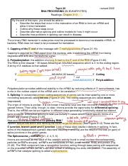 Topic 20 Lecture Notes BD.pdf