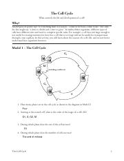 15 The Cell Cycle-S.pdf