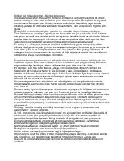 Seminarieanteckningar_Nürnbergtribunalen.pdf