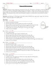 Zachary Ken J Siapno - Osmosis and Diffusion in an Egg Lab 2021.pdf