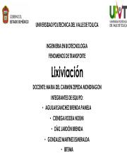 TAREA 4 LIXIVIACION.pdf