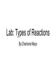 Lab_ Types of Reactions.pdf