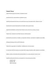 Muscle tissue study guide Chapter 10.docx