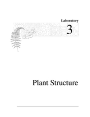 lab3_plant structure_2007