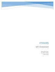 ITM490 SLP 1.docx