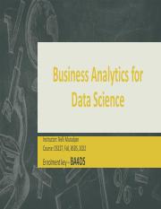 Business Analytics LP_MIP.pdf