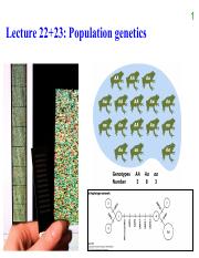 population genetics.pdf