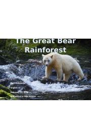 The Great Bear Rainforest Report.docx