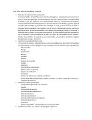 CASO DELL-Roberto Espejo.pdf