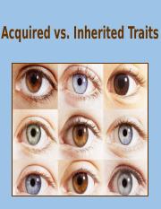 Copy of acquired vs inherited traits.pptx