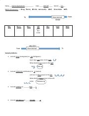 Copy of Metric Conversions.pdf
