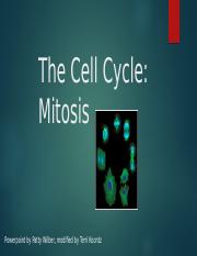 Chapter 6 cell cycle_mitosis.pptx
