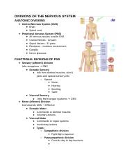 Bio 223 Ch 11 Nervous System Divisions.docx