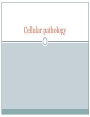 Chapter 1 Cell Injury.pdf