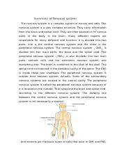 Summary of Nervous system.docx